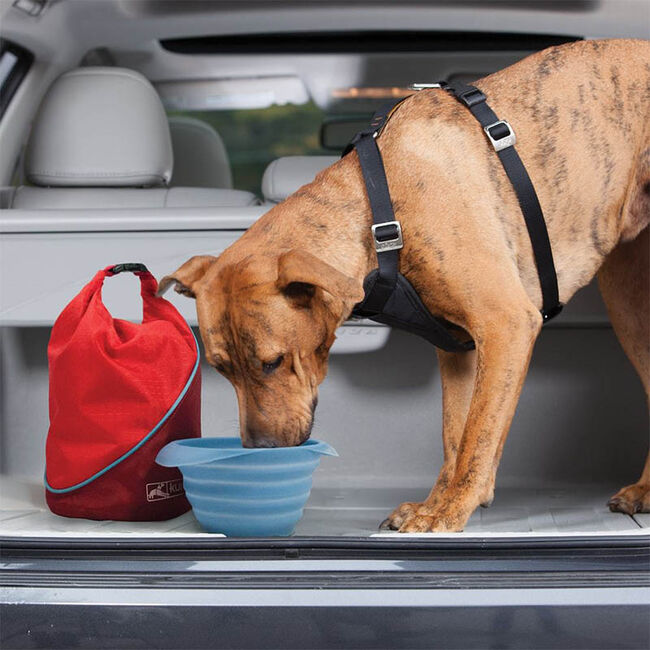 Kurgo Kibble Carrier - Blue - 20 Cups image number null