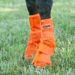 Cashel Crusader Leg Guards - Orange