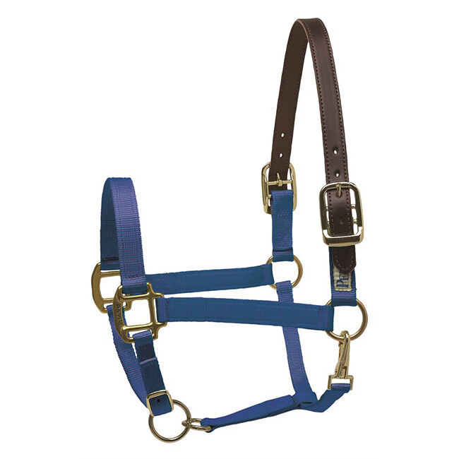 Perri's Leather Nylon Safety Halter image number null