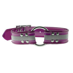 OmniPet SunGlo Reflective Stripe Dog Collar with Center Ring - Purple