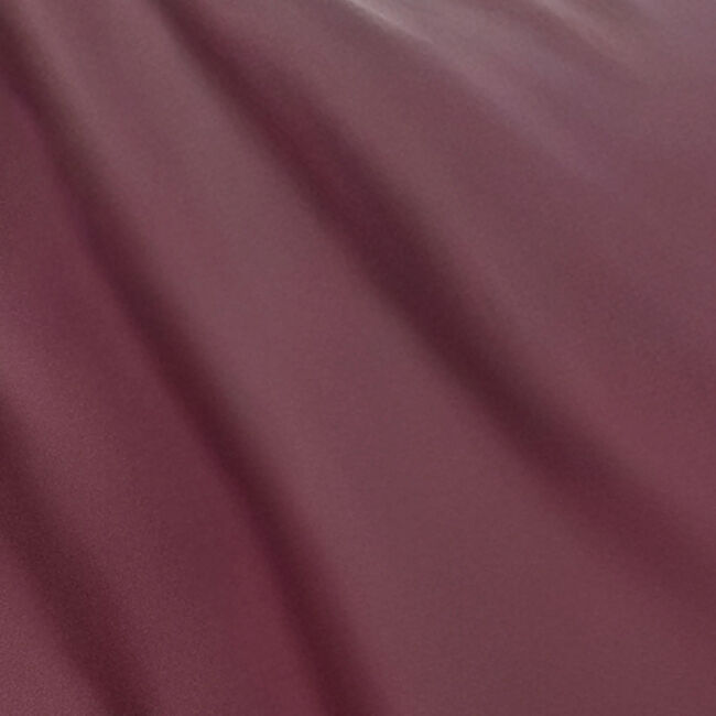 Equinavia Norse Pony Turnout Blanket (300g) - Burgundy image number null
