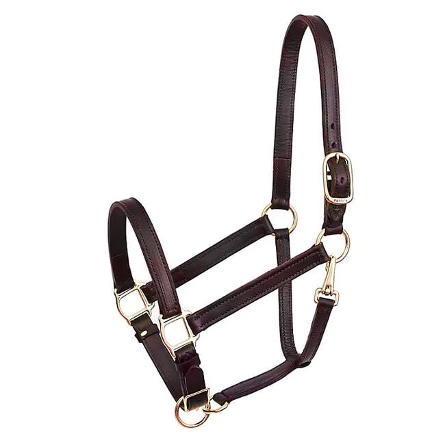 Perri's Leather 1'' Leather Turnout Halter image number null