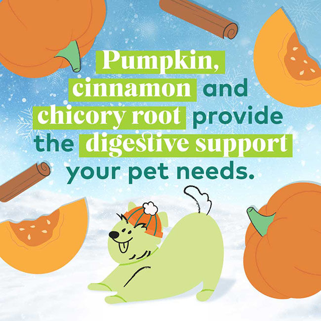 Honest to Goodness Plant Snacks Howliday Treats - Pumpkin Spice Recipe - 4 oz image number null