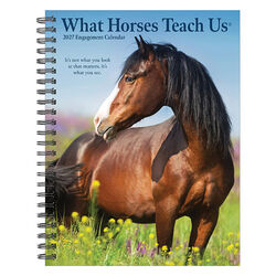 Willow Creek Press 2027 Engagement Calendar - What Horses Teach Us