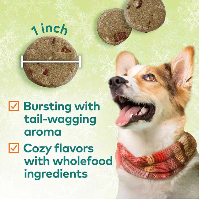 Honest to Goodness Plant Snacks Howliday Treats - Pumpkin Spice Recipe - 4 oz image number null