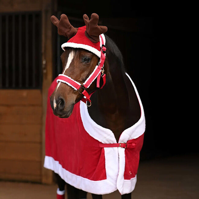 Horze Santa Reindeer Cap - Dark Red image number null