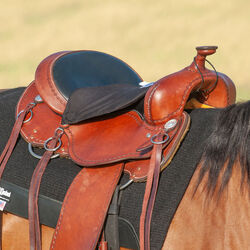 Cashel Western Foam Tush Cushion