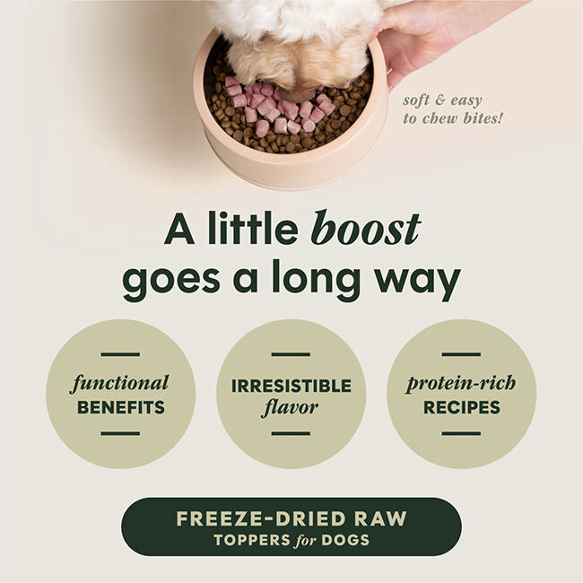 Instinct Raw Boost Mixers for Dogs - Skin & Coat Health Recipe image number null