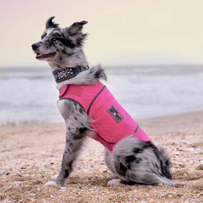 ThunderWorks ThunderShirt Sport - Anti-Anxiety Dog Jacket - Pink - Closeout image number null