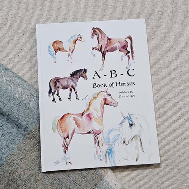 Sona Equestrian ABC Horse Breeds image number null