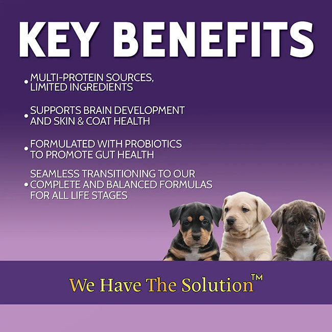 Zignature Dog Food - Puppy Formula image number null