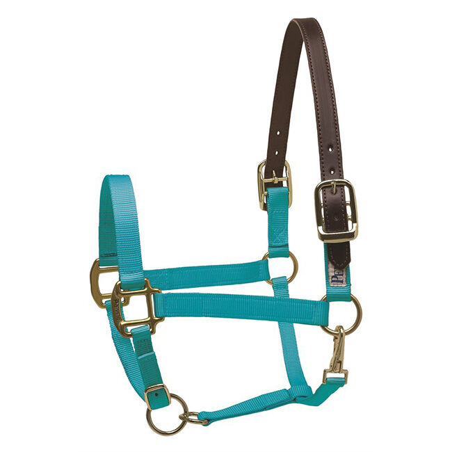 Perri's Leather Nylon Safety Halter image number null