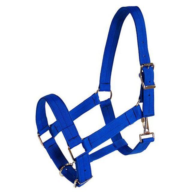 Triple E 1-1/2" Adjustable Poly Web Draft Halter image number null