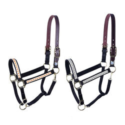 Perri's Leather Ribbon Safety Halter