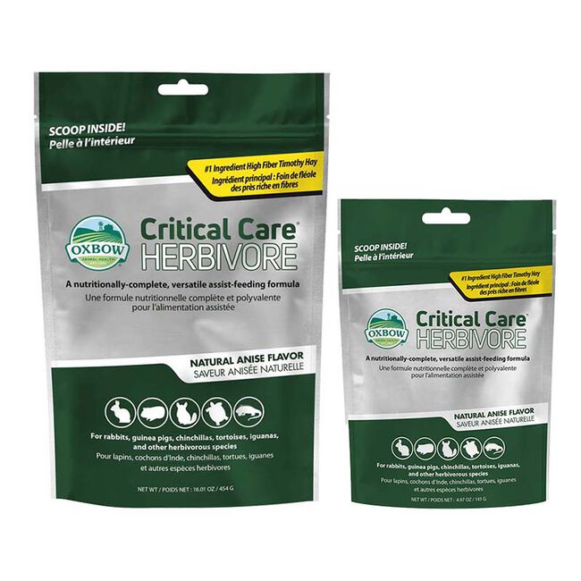 Oxbow Animal Health Critical Care Herbivore - Natural Anise Flavor image number null