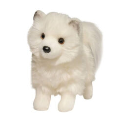 Douglas Phoebe the Pomsky
