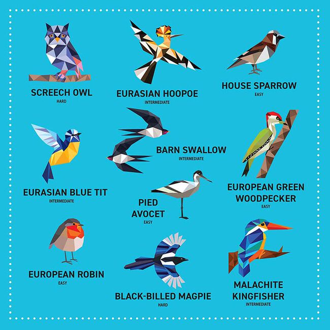 My Sticker Paintings: Birds: 10 Magnificent Paintings for Kids 6-10 image number null