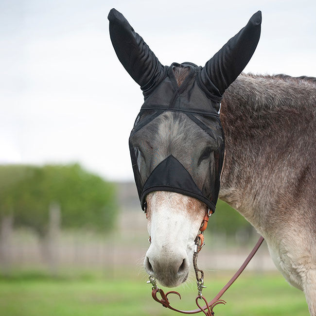 Cashel Quiet Ride Fly Mask with Ears - Mule Sizes image number null