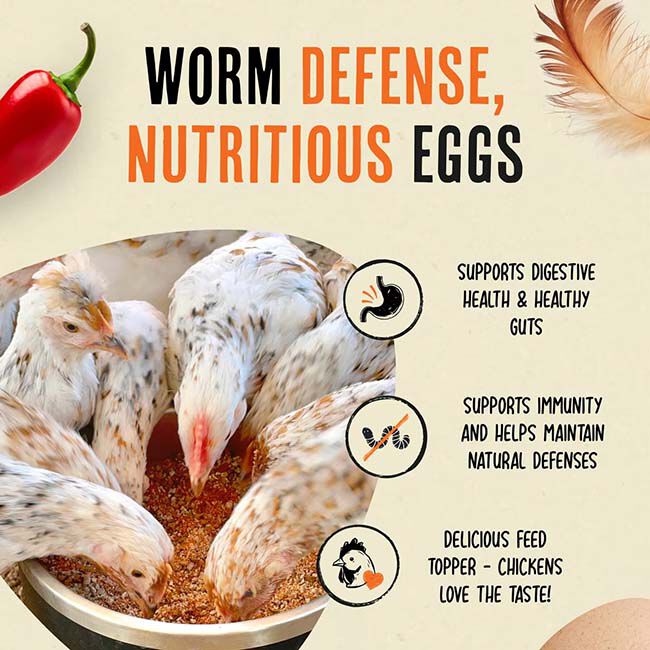 Roosty's Flock Armor - Daily Worm Defense + Gut Support with Chili & Oregano - 1 lb image number null