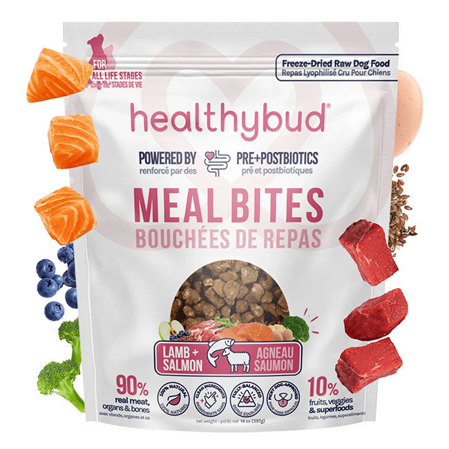 HealthyBud Meal Bites Freeze-Dried Raw Dog Food - Lamb & Salmon Recipe image number null