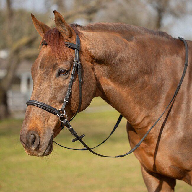 Equinavia Saga Bitless Bridle image number null