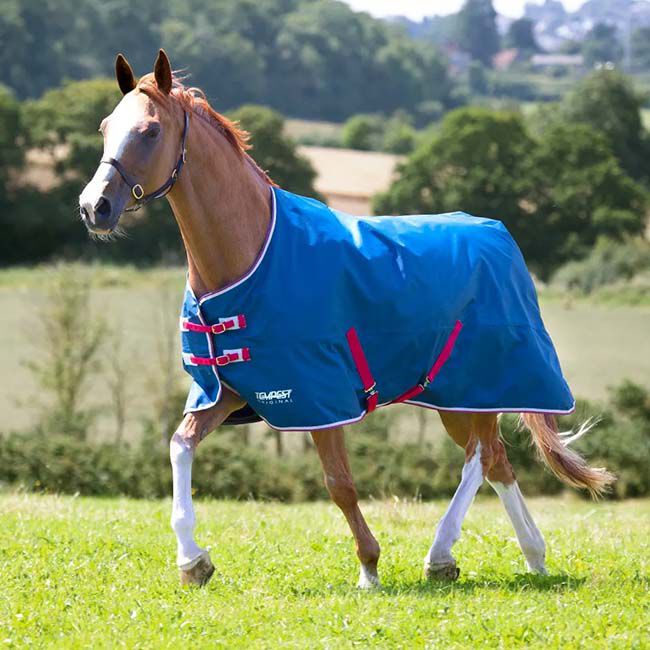 Shires Tempest Original Lite Turnout Sheet - Teal image number null