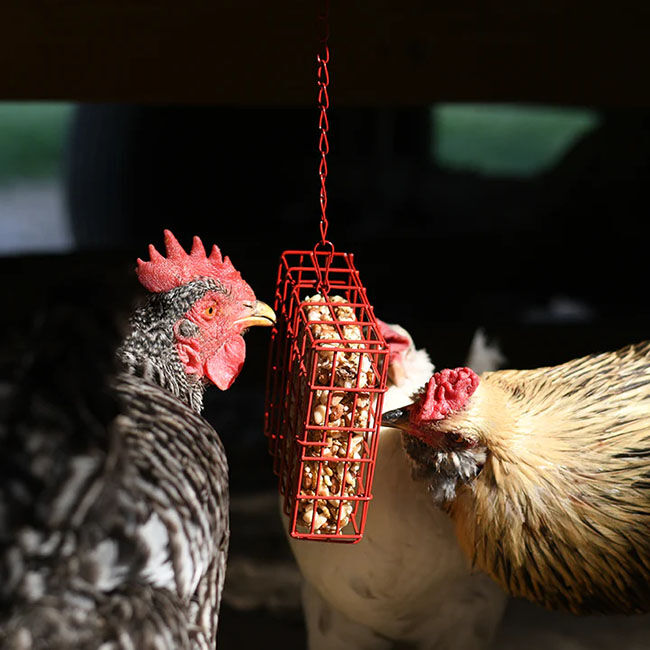 Happy Hen Treat Basket image number null