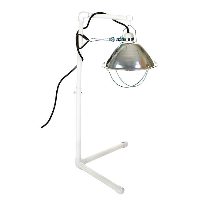 Little Giant Chick Brooder Kit image number null