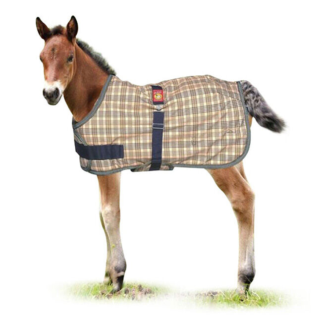 5/A Baker Expand-O-Blanket Foal/Pony Turnout 200g image number null
