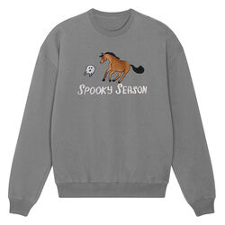 Dapplebay Women's Spooky Season Sweatshirt - Gray