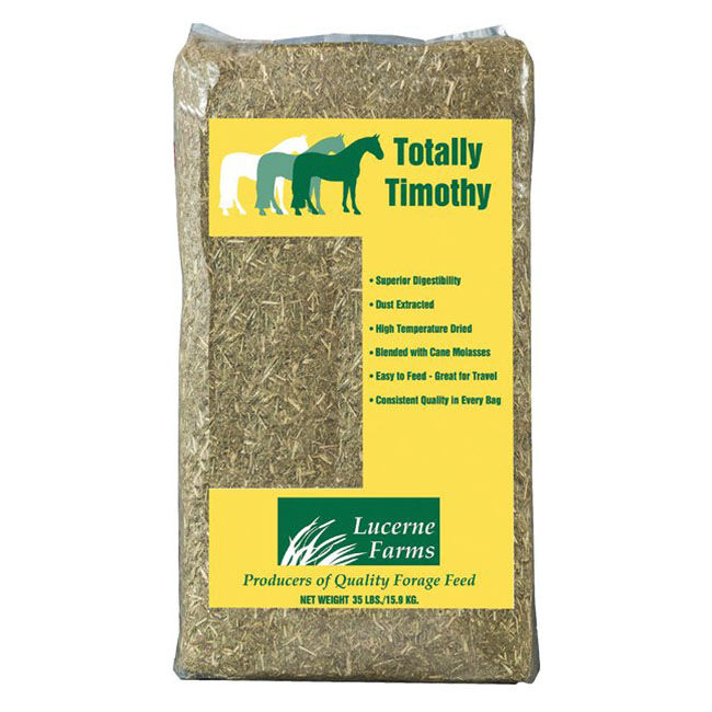 Lucerne Totally Timothy Dengie image number null