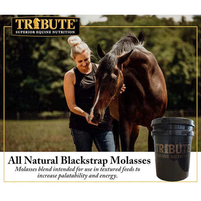 Tribute All-Natural Blackstrap Molasses - 5 Gallons image number null