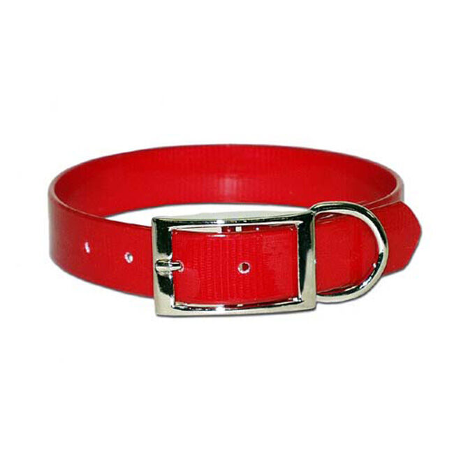 OmniPet SunGlo Collar with D-Ring - Red image number null