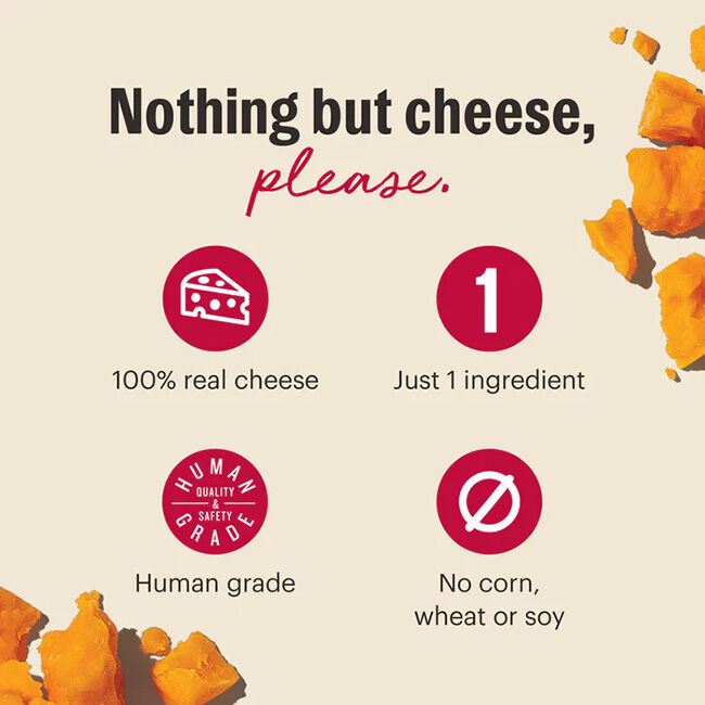The Honest Kitchen Crunchy Cheese Bites for Dogs - Cheddar - 2 oz image number null