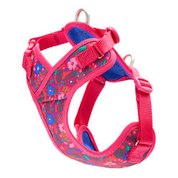 RC Pets Petite Explorer Harness - Frida