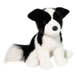 Douglas Herdie the Soft Border Collie