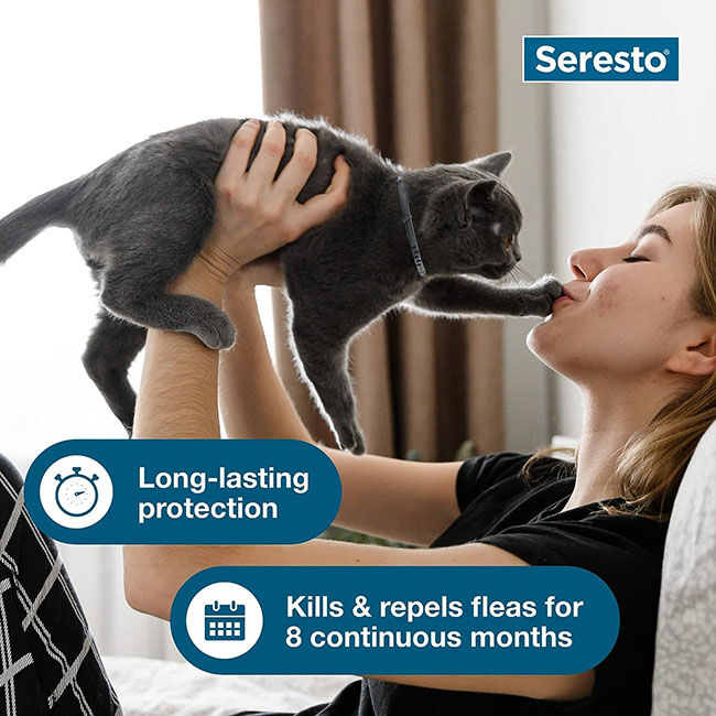 Elanco Seresto Flea & Tick Collar for Cats image number null