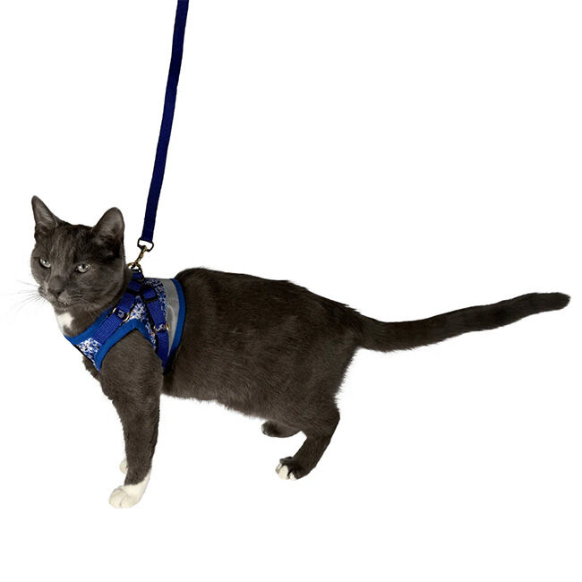 Travel Cat "The True Adventurer" Reflective Cat Harness & Leash image number null