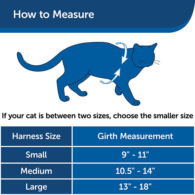 PetSafe Come with Me Kitty Harness & Bungee Leash - Royal Blue/Navy image number null