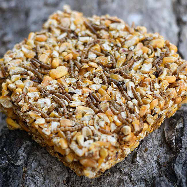 Happy Hean Treat Square - Corn & Mealworm - 6.5 oz image number null