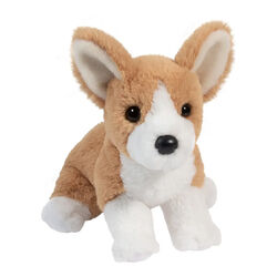 Douglas Cheekie the Soft Corgi