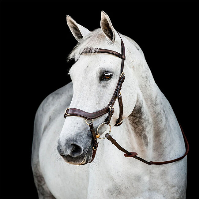 Horseware Rambo Micklem 2 Multi Bridle image number null