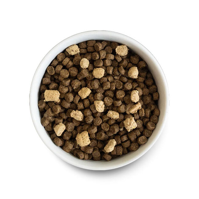Open Farm RawMix Freeze-Dried Grain-Free Dog Food - Wild Ocean Recipe image number null