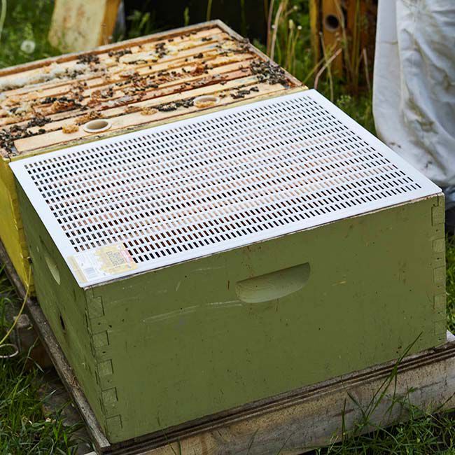 Little Giant Beekeeping Queen Excluder image number null