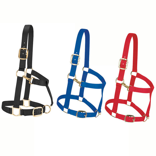 Weaver Equine Adjustable Nylon Draft Halter image number null