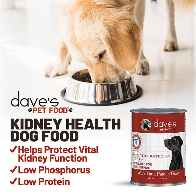 Dave's Pet Food Restricted Phosphorus & Protein Dog Food - Tuna Pate in Gravy - 13 oz image number null