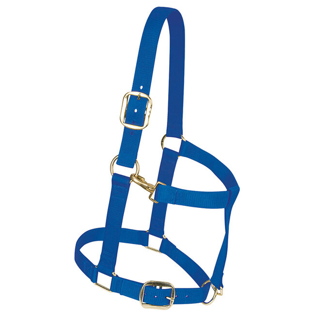Weaver Nylon Draft Halter image number null