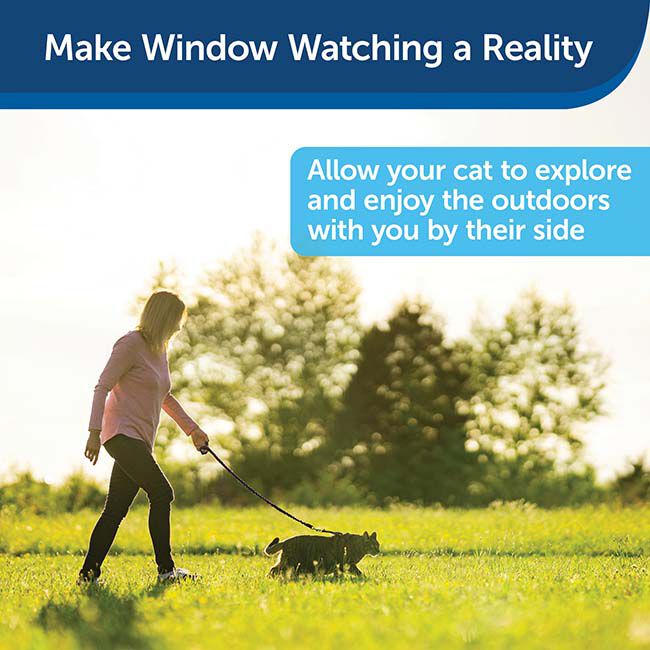 PetSafe Come with Me Kitty Harness & Bungee Leash - Royal Blue/Navy image number null