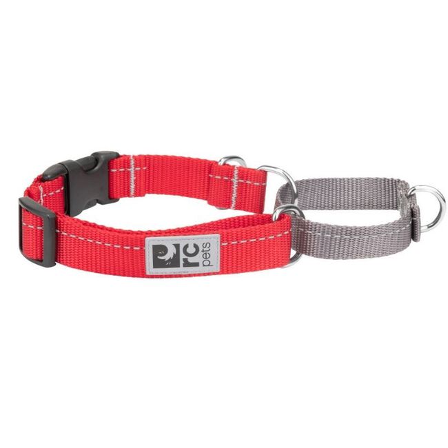 RC Pets Primary Web Training Clip Dog Collar image number null