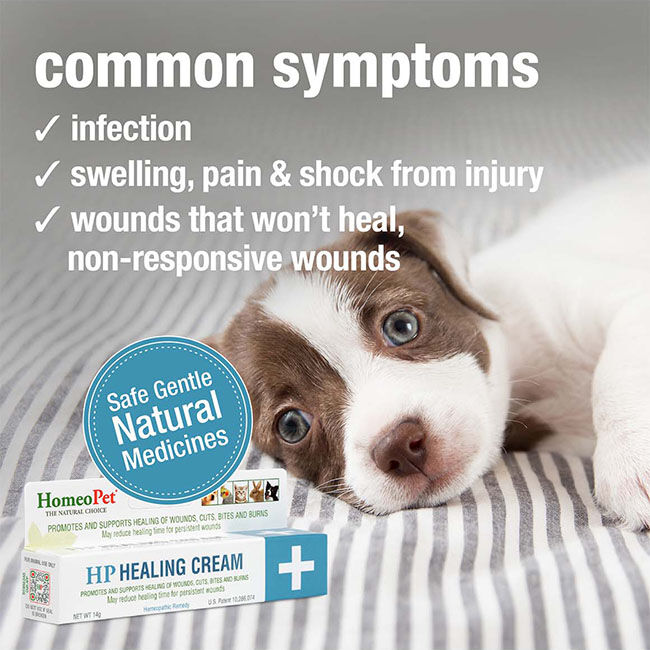 HomeoPet HP Healing Cream - 15 mL image number null